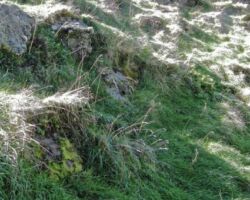 Ramblers stand above deep sinkhole on the Lusty Farm, Pakihi Valley 160114lustyfarmsinkhole