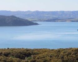 View of Raglan and the harbour from 150m high Horea 160211viewofharbourfromhorea