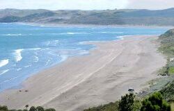 Raglan's Ngarunui Beach 160310ngarunuibeach