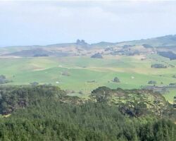View from Waimaori Road side of Kariori 160407viewfromkarioi-on-new-walk
