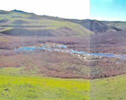 South of Waimaori Rd, Ruapuke – the north side of the large Toreparu wetland. 160421waimaorird