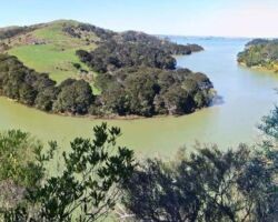 Pakoka Estuary 160616pakokavalley