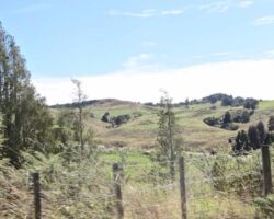 Hills on Kauroa farm 160630kauroafarm