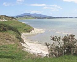 View of Mount Karioi from Pearts Finger 160812viewfrompeartsfinger