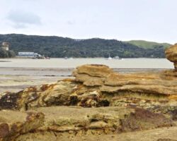 Raglan Wharf from Cox Bay 160818innerharbour