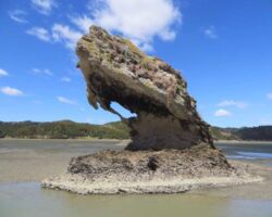 Aotea Harbour has many unique rock formations on its south shore. 160908aotearockformation