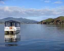View of harbour cruise boat with Karioi in distance from Motukokako Pt 160915-motukokako
