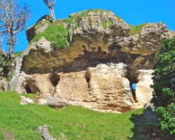‘Hobbit’ caves at Makaka and a nearby large stack are in the 28 million year old Orahiri Limestone. 160929-makaka