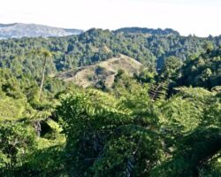 View of the part of the Hillary-Hope reserve 161006hillary-hope