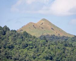 Te Akatea-Pongawhakatiki. The pointed 309m hill behind Waingaro. 161208-pongawhakatiki