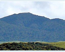 View of Mount Karioi View of Mount Karioi