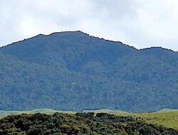 View of Mount Karioi View of Mount Karioi