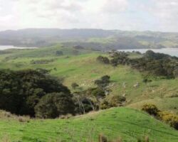 Raglan Harbour from Cogswell Road 170209-cogswell