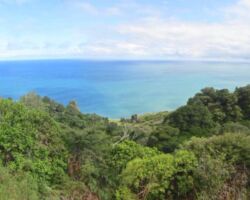 View of Te Toto Gorge 170427-te-toto-gorge