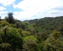 View on the walk from Old Mountain Road to Four Brothers 170511-four-brothers-walk