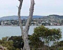 View of Raglan from Te Akau Wharf Road View of Raglan across harbour from Te Akau Wharf Road