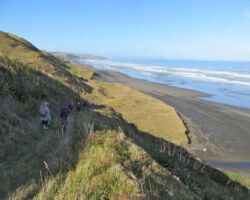 Ruapuke's Waiau Beach Ruapuke's Waiau beach