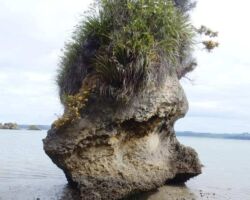 Rock formation on southern shore of Aotea Harbour