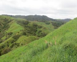 On the Cogswell Rd to divi walk you get some good views. On the Cogswell Rd to divi walk you get some good views.