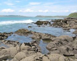 Whale Bay, south west of Raglan