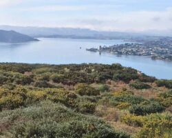 Raglan from north side of harbour Raglan from north side of harbour