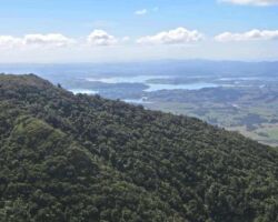 View of ridge on Mount Karioi