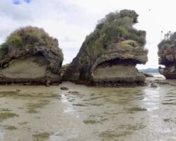 Rock formations - Aotea Harbour Rock formations - Aotea Harbour