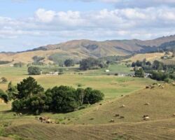 Checkley Road area of Okete