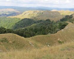 View from Karamu Walkway. View from Karamu Walkway. Image John Lawson