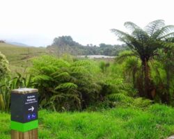 Marker post on Kaitoke Walkway