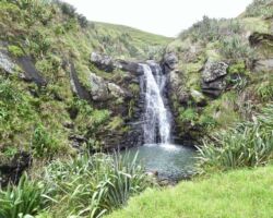 Papanui Pt- the waterfall near the beach