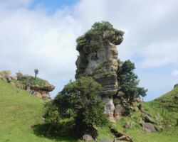 Large limestone stack at Makaka, south west of Raglan Large limestone stack at Makaka, south west of Raglan