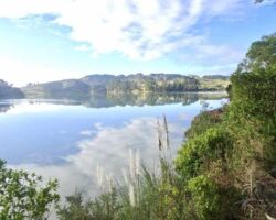 Reflections on Kaitoke walkway