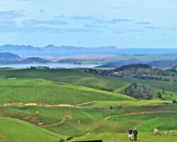 View from Magic Mountain on Houchens Road, Te Mata