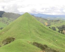 Heretu cone is 175m high and can be seen from SH23