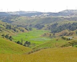 Pakihi valley