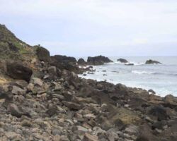 Coastal shoreline near Te Toto Gorge