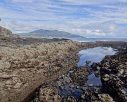 View south from Te Kaha Point
