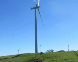 The windfarm walk from the car park along Pipiwharauroa Way, is a chance of getting close to the 2MW, 130m high towers.
