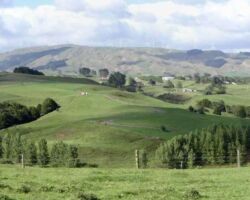 View from Matakotea Stream valley
