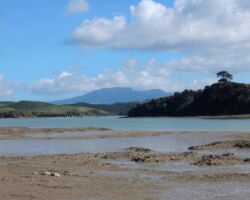 View from Pearts Finger