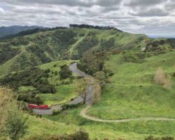 Ed Hillary - Michael Hope Reserve Ed Hillary - Michael Hope Reserve