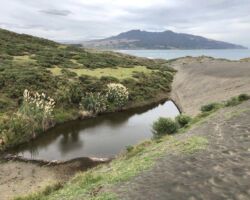 Lake Disappear in the dunes above Te Kaha Pt (Mussel Rock)