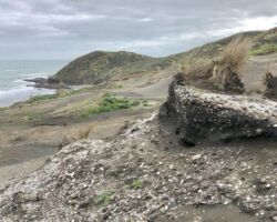 Te Kaha Pt (Mussel Rock)
