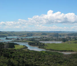 raglan