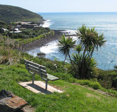 whale_bay