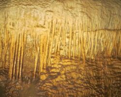 Stalactites in Phillips Road Cave Stalactites in the Phillips Road cave, south of Raglan – Image John Lawson