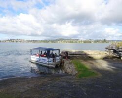 Boat lands at Te Akau Wharf Road Boat lands at Te Akau Wharf Road - Image John Lawson