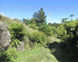 On the walk there are good views, as well as the huge 130.5 m. high, 2.2MW turbines On the walk there are good views, as well as the huge 130.5 m. high, 2.2MW turbines - Image John Lawson