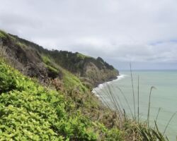 Whaanga Coast by Te Toto Gorge